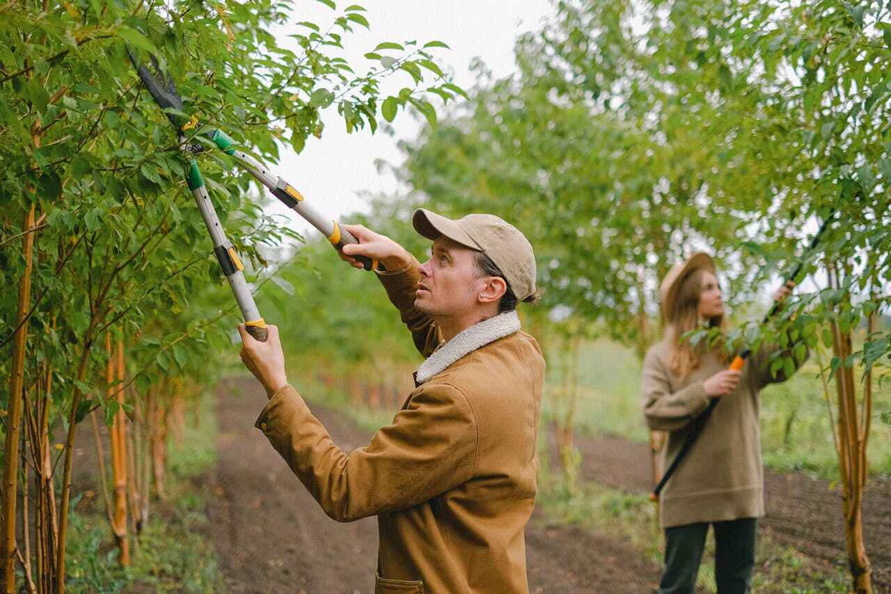 Best Commercial Tree Services  in Tulia, TX